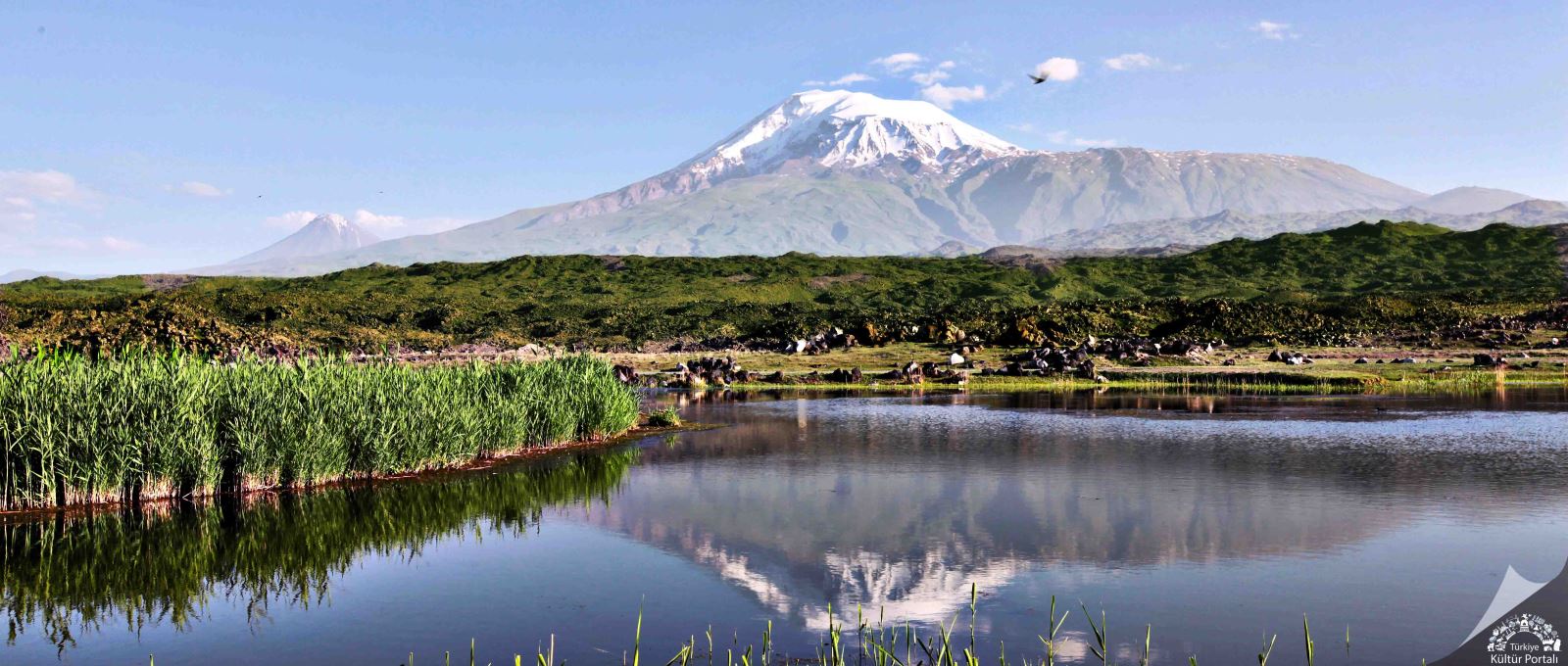 Explore Adana travel guide, top places, and local highlights.